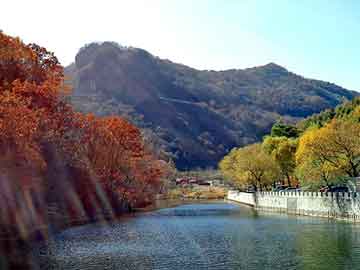 天天彩好彩天天免费，山东滨化